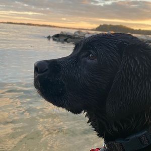 Meet your Posher, Olivia